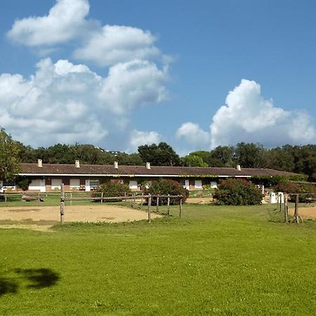 Hostel Residential Horse Club Costa Brava Santa Cristina d'Aro Pokoj fotografie