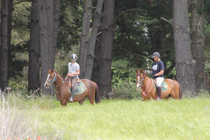 Hostel Residential Horse Club Costa Brava Santa Cristina d'Aro Exteriér fotografie